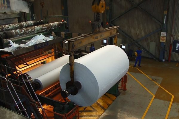 Sugar & Paper Industry